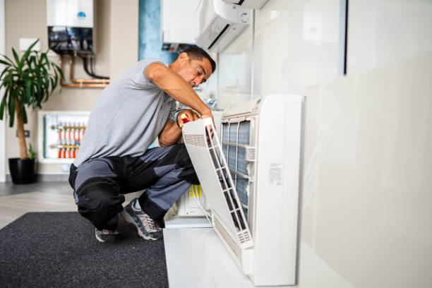 Best Air Duct Mold Removal  in Winton, CA