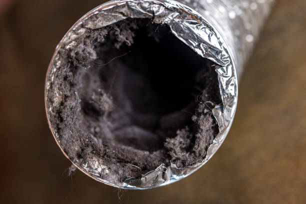 Best Affordable Duct Cleaning Services  in Winton, CA