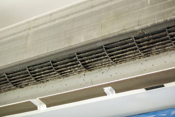 Air Duct Mold Removal in Winton, CA